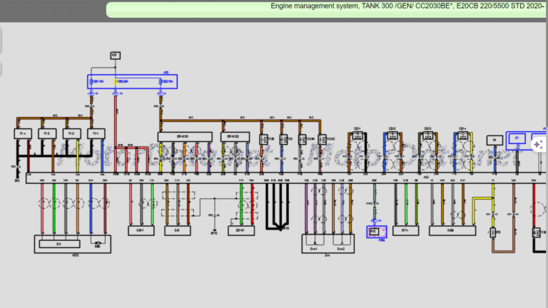 Engine management system, TANK 300 Wiring Diagram